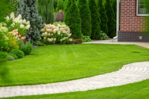 AdobeStock_307554413-scaled